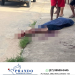 Homem é morto a tiros em via pública no Chapadão das Palminhas, interior de Linhares