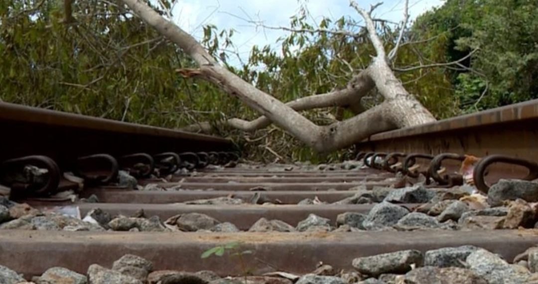 Reprodução/Internet