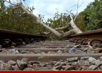 Liberado trecho de rodovia bloqueado por indígenas em Aracruz