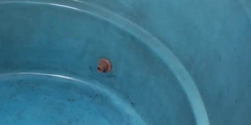 VÍDEO – Moradores do bairro Canivete e regiões vizinhas sofrem com falta de água em Linhares