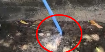 Pode isso, Arnaldo? Vazamento de água do SAAE já dura quase dois anos em Linhares.Veja vídeo