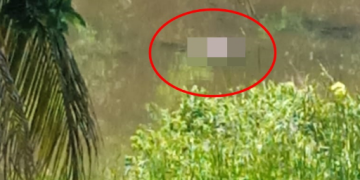 VÍDEO – Corpo de homem em decomposição é encontrado boiando no Rio São José, em Jacupemba