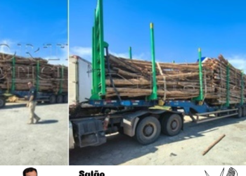 EXCLUSIVO – VÍDEO: Perigo na estrada: PRF aborda carreta com carga irregular de eucalipto na BR-101, em Linhares