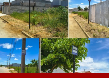 Moradores do Colibri, em Bebedouro, cobram abrigos em pontos de ônibus em Linhares