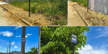 Moradores do Colibri, em Bebedouro, cobram abrigos em pontos de ônibus em Linhares