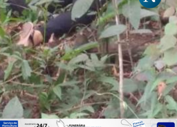 Polícia Civil investiga morte de mulher apontada como “gerente” do tráfico em Jacupemba, Aracruz