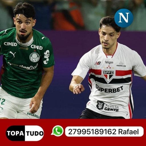 Cesar Greco/Palmeiras