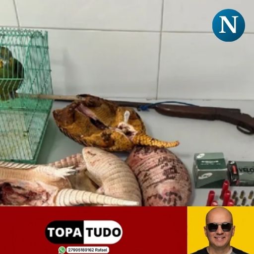 Terror doméstico leva polícia apreender armas, munições e animais silvestres em Linhares