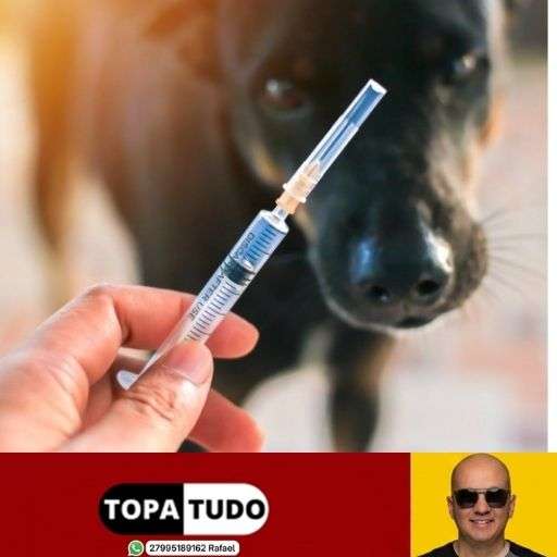 Vacinação antirrábica chega a quatro bairros de Linhares, neste sábado