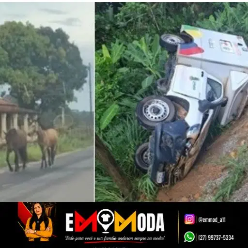 Ambulância da Prefeitura de Linhares tomba a caminho de Povoação após tentar desviar de animal na pista