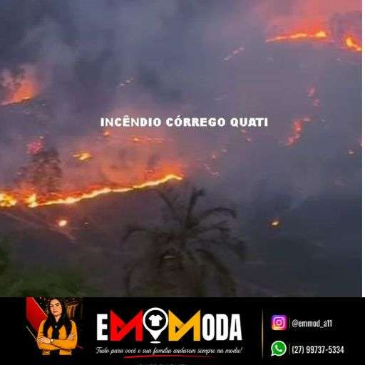 URGENTE: Incêndio de grandes proporções atinge plantação de eucalipto e ameaça área de mata em Linhares. Veja vídeo