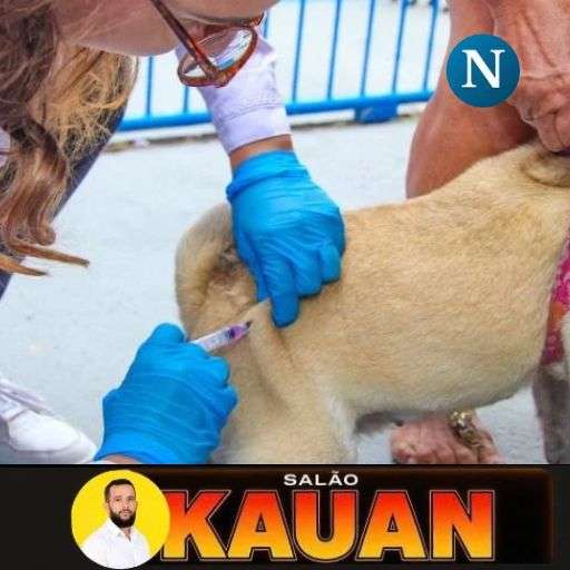 Vacinação antirrábica acontece neste sábado (24) nos residenciais Rio Doce e Mata do Cacau, em Linhares